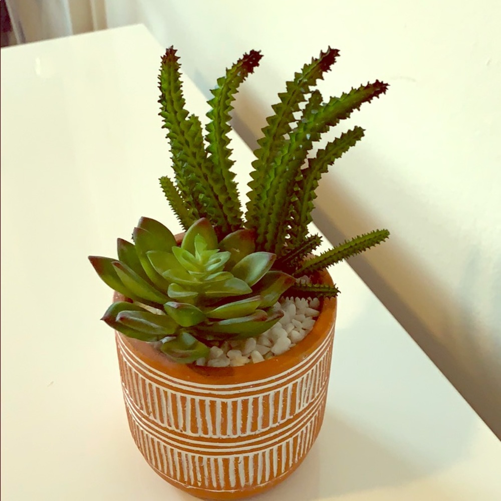 Faux succulant assortment